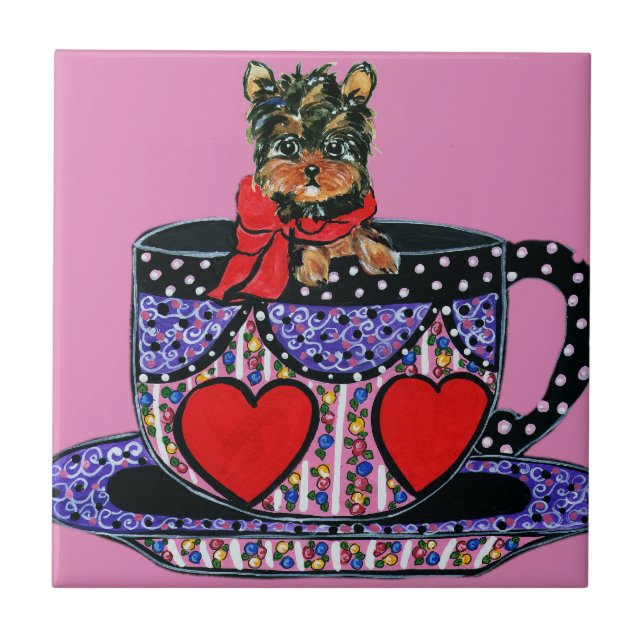 Yorkie Poo (Frente)