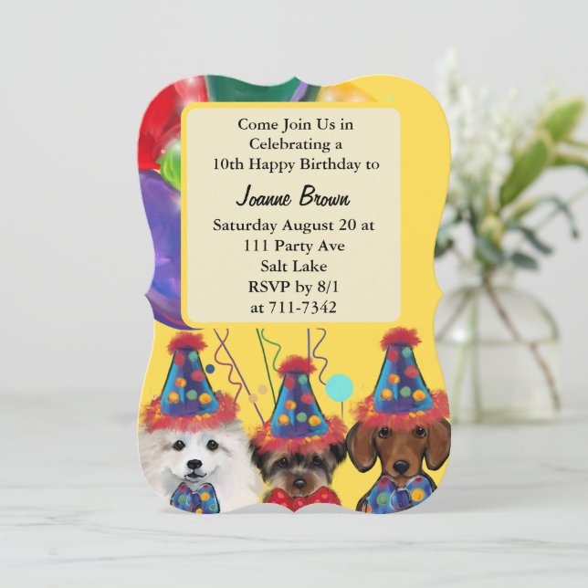 Yorkie Poo (Em pé/Frente)