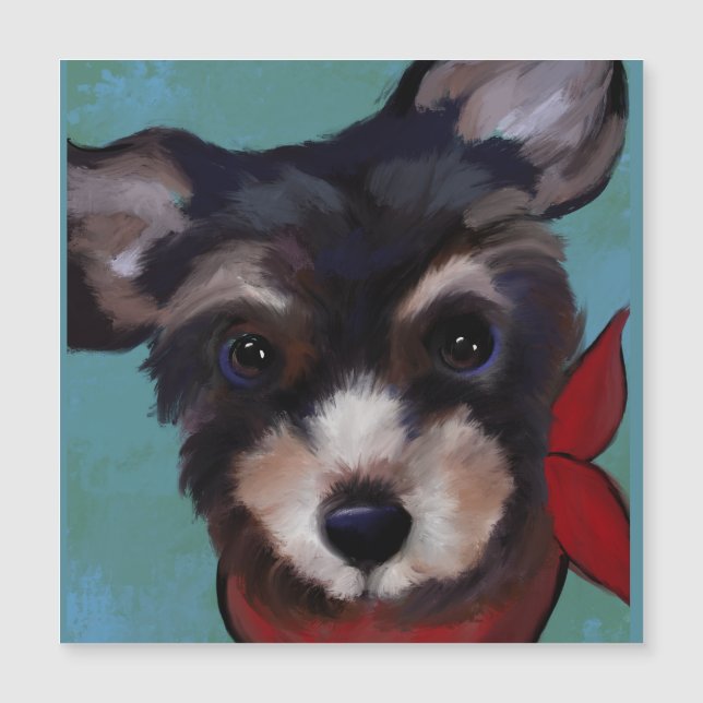 Yorkie Poo   (Frente)