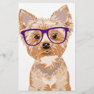 Yorkie que veste vidros