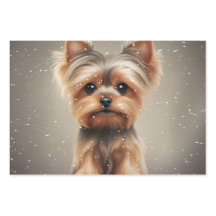 Yorkie Snowy Moment, Fofo de Natal