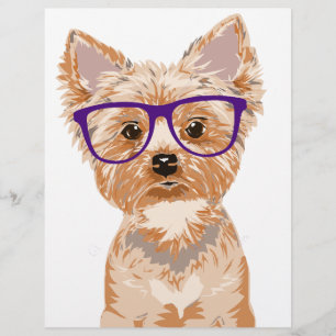 Yorkie Usando Óculos