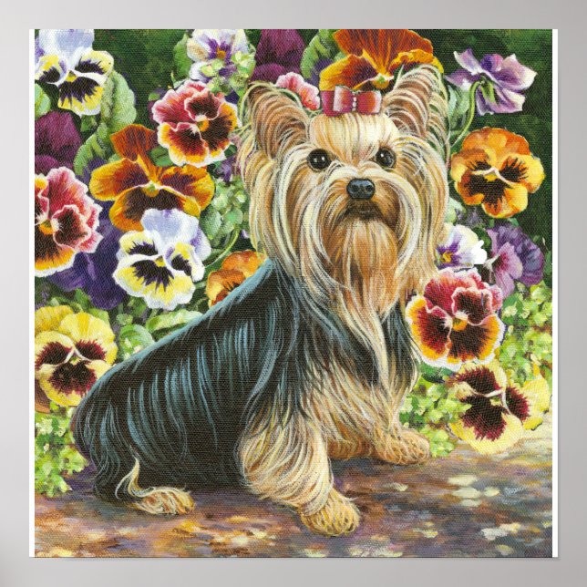 Yorkie Yorkshire Terrier no Pansies Impressão (Frente)