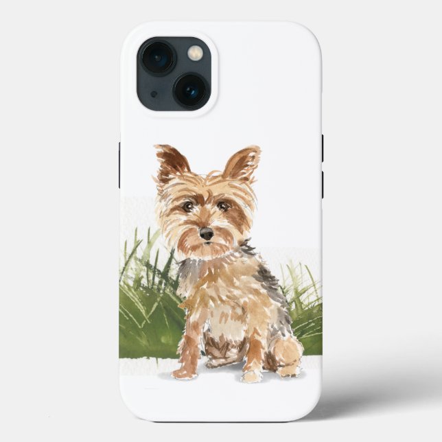 Yorkshire Terrier (Verso)