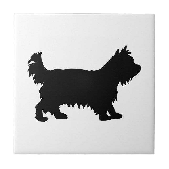 Yorkshire terrier (Frente)
