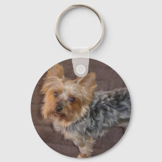 Yorkshire Terrier chaveiro
