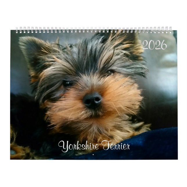 Yorkshire Terrier Cute Yorkies 2024 Calendário