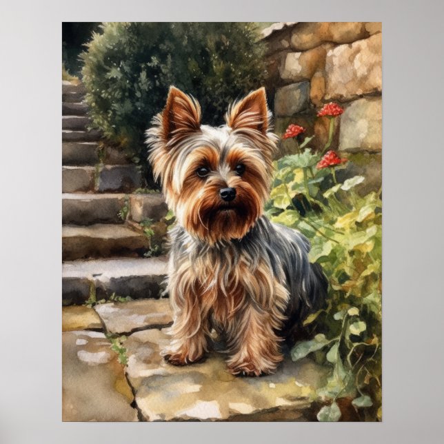 Yorkshire Terrier Dog Art Impressão Poster (Frente)