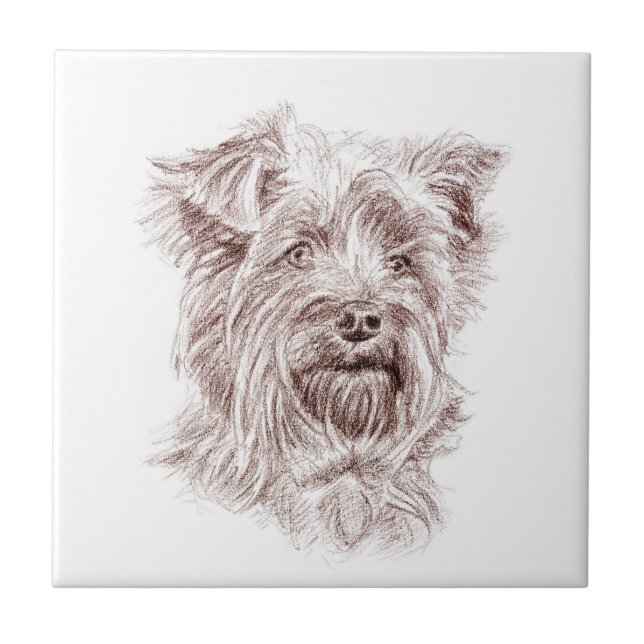 Yorkshire Terrier Drawing (Frente)