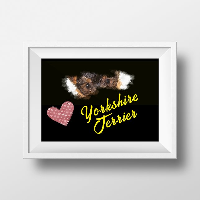 Yorkshire Terrier Eyes Solid Color Poster (Criador carregado)
