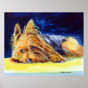 Yorkshire Terrier Impressão Poster