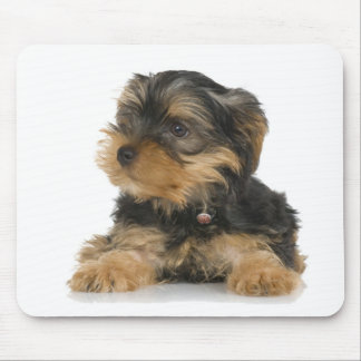 Yorkshire terrier Mousepad