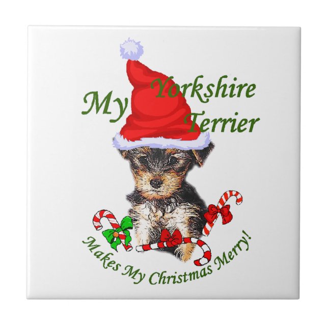 Yorkshire Terrier Natal (Frente)