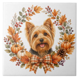 Yorkshire Terrier Outono