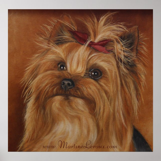 Yorkshire Terrier Poster (Frente)