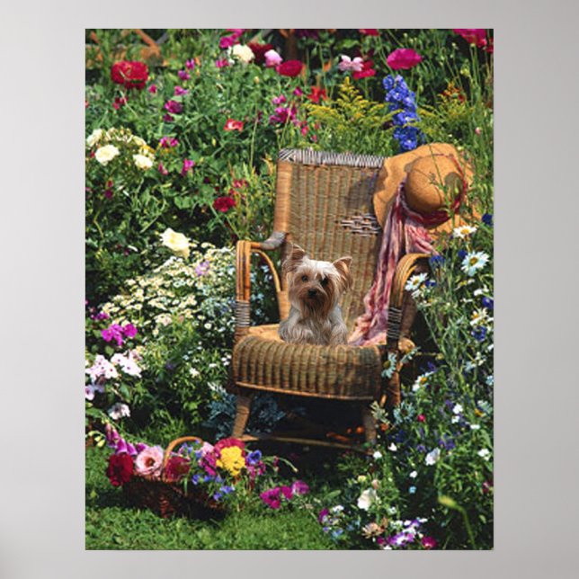 Yorkshire Terrier Poster Garden (Frente)