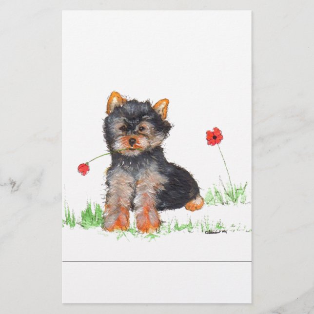 Yorkshire terrier pup (Frente)