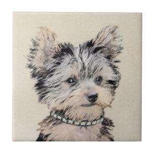 Yorkshire Terrier Puppy Pintura Original