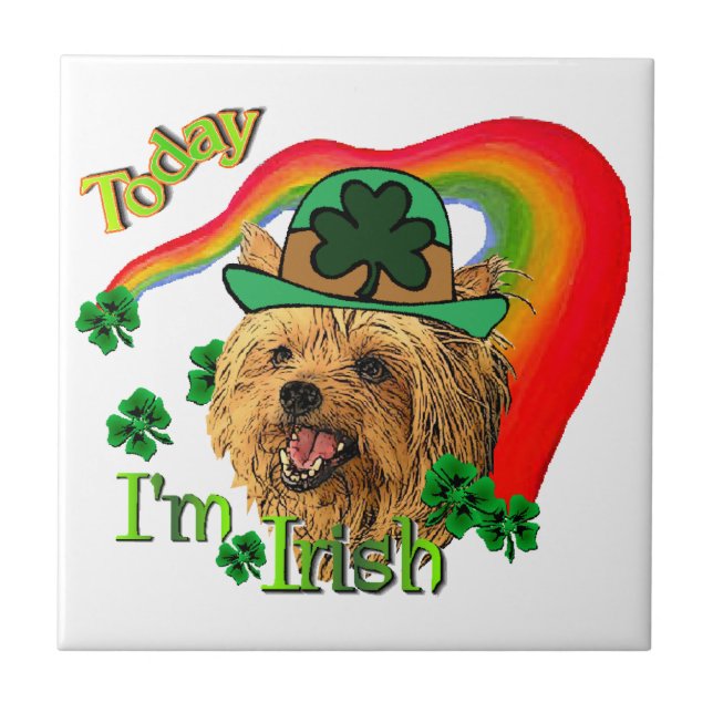 Yorkshire Terrier St Patricks (Frente)