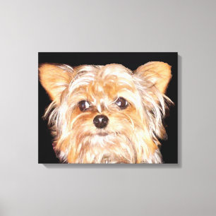 Yorkshire Terrier Stretch Canvas Print
