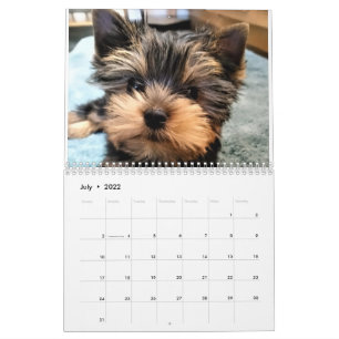 Yorkshire Terrier Yorkies 2022 Calendário
