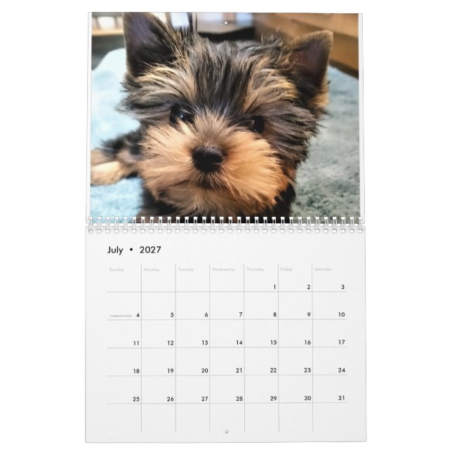 Yorkshire Terrier Yorkies 2022 Calendário (Jul 2027)