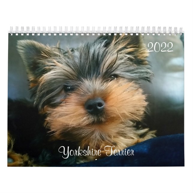 Yorkshire Terrier Yorkies 2022 Calendário (Capa)