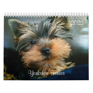 Yorkshire Terrier Yorkies 2022 Calendário