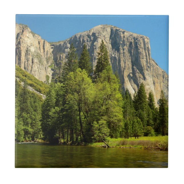 Yosemite Do Vale Floor, Sierra Nevada (Frente)