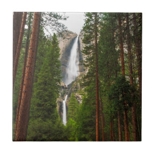 Yosemite Falls através da Floresta
