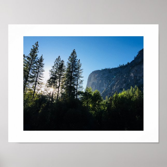 Yosemite Sunlit Trees Color Fotografia Poster (Frente)