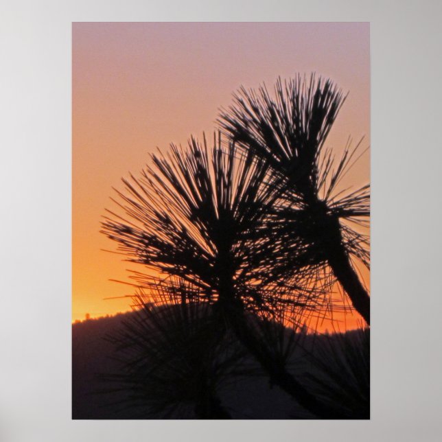 Yosemite Sunset Poster (Frente)