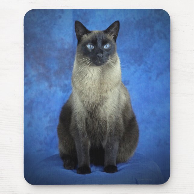 Yoshi o gatinho Siamese Mousepad do gato do (Frente)