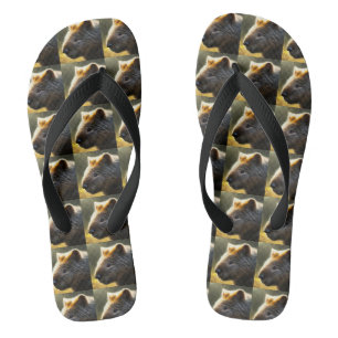 Young Australian Wombat, Chinelos