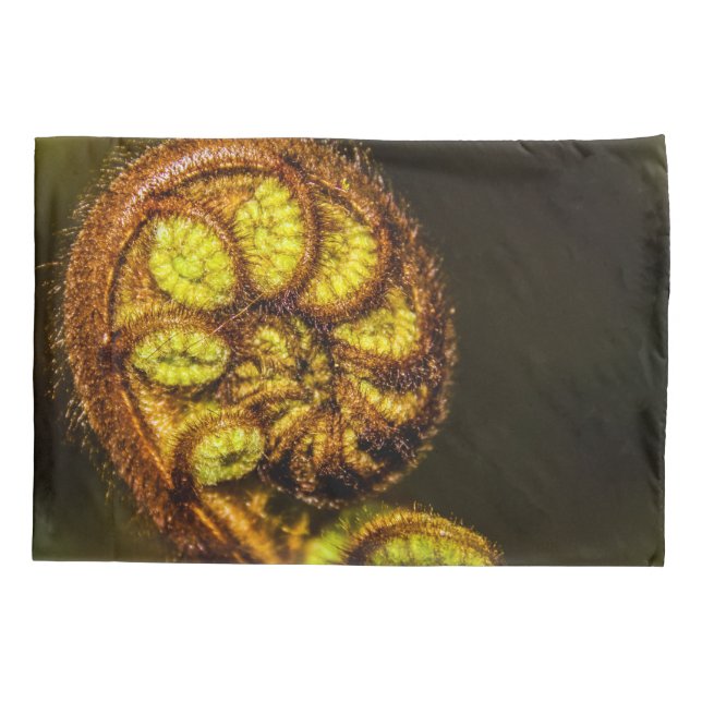 Young Fern Folaves (Verso)