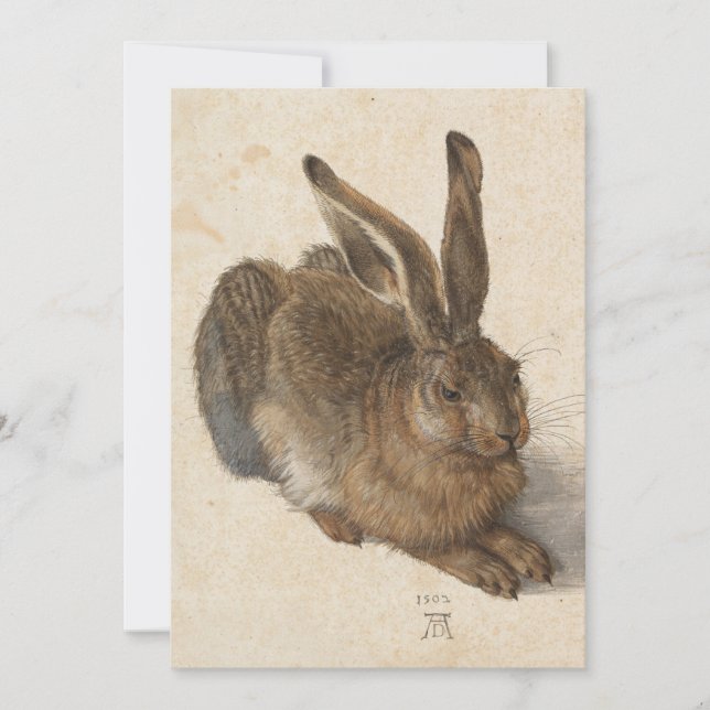 Young Hare | Albrecht Dürer (Frente)