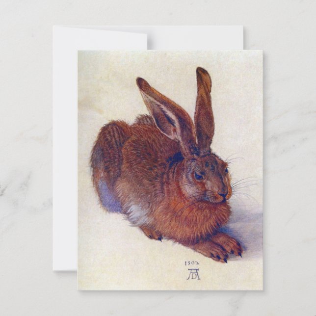 Young Hare by Albrecht Durer, Renaissance Fine Art (Frente)