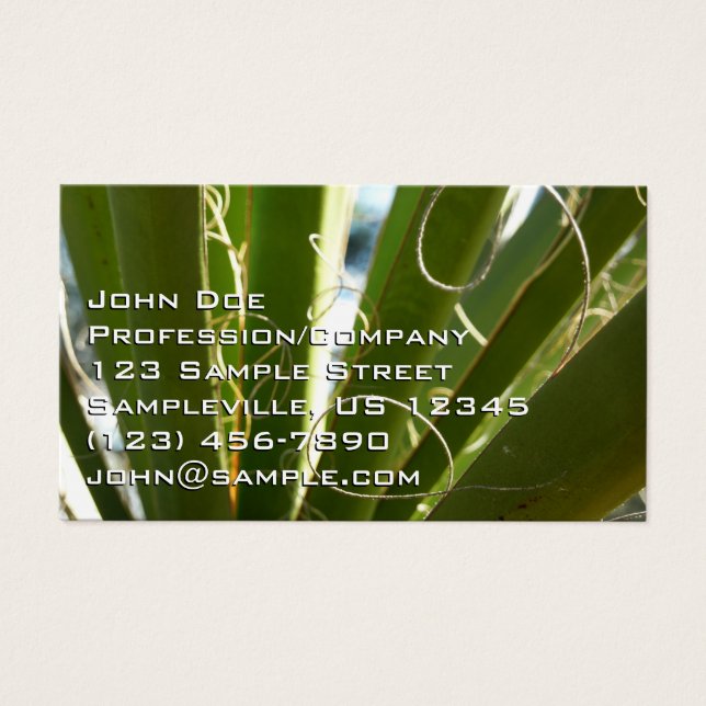 Yucca deixa fotografia verde da natureza (Frente)