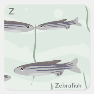 Z para a etiqueta dos zebrafish
