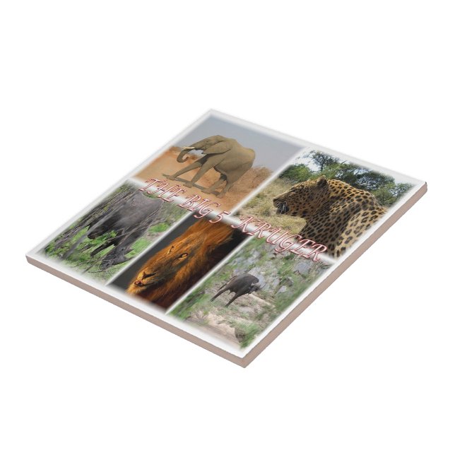 ZA027 ÁFRICA DO SUL, O GRANDE 5 em KRUGER NP (Lateral)