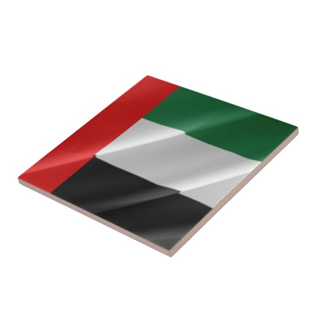 zAE002 EMIRADOS ÁRABES UNIDOS acenando com UAE FLA (Lateral)
