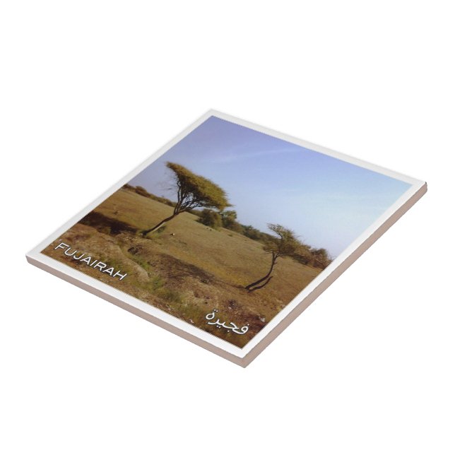 zAE033 FUJAIRAH Natureza, EAU, Ásia; (Lateral)