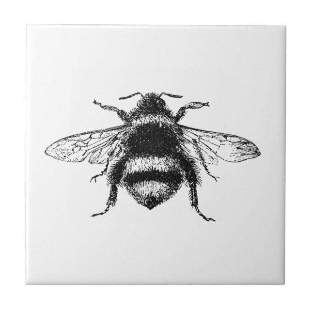 Zangão do vintage (Frente)