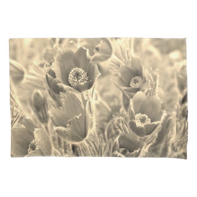 Zarte Blumen  (Frente)