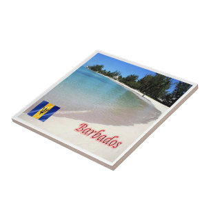 zBB007 BARBADOS The Beach, Sea View,