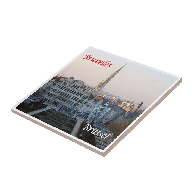 zBE031 BRUSSELS BRUXELLES panorama Bélgica (Lateral)