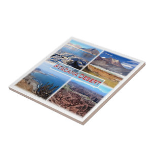 zCL003 ATACAMA DESERT, Mosaico, Chile,