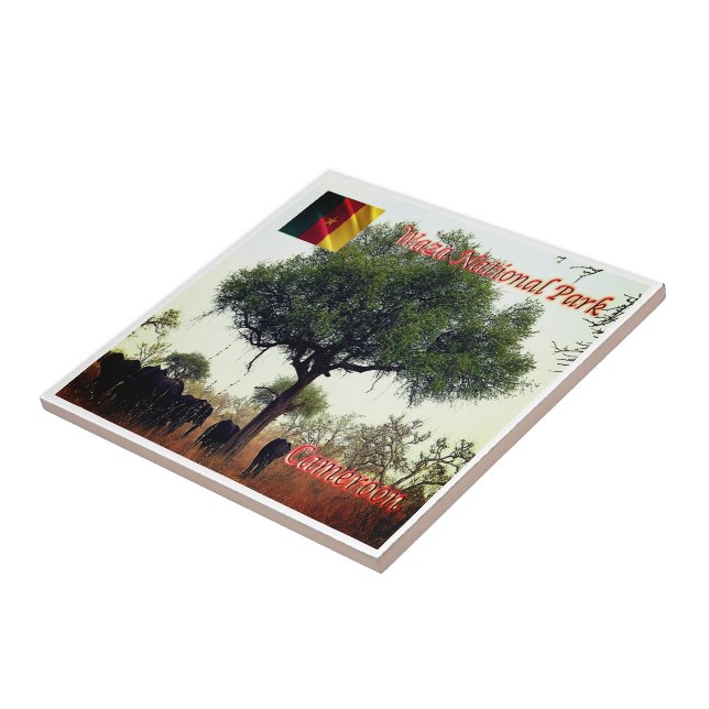 zCM007 WASA N.P. Camerron, África (Lateral)