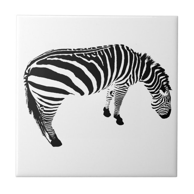 zebra (Frente)