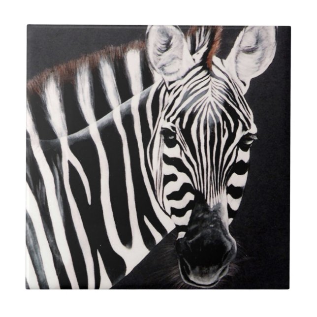Zebra (Frente)